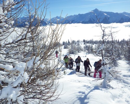 Schneeschuhwanderung im Zillertal